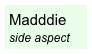 Madddie 
side aspect